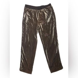 Anthropologie Elevenses Crushed Velvet Ankle Pants Medium